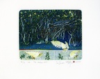 Wyróżnienie - Jinwei Tian, Chiny, Ex libris for peace (The rainbow still)